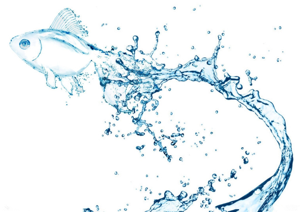 基材潤濕劑，迪高基材潤濕劑，涂料基材潤濕劑