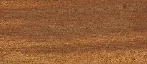 木器漆基材潤濕劑,木器漆潤濕劑,水性潤濕劑,底材潤濕劑,潤濕劑廠家,迪高潤濕劑,<a href='http://m.e354.com/product/product-0001,0011,0018.shtml' class='keys' title='點(diǎn)擊查看關(guān)于潤濕劑的相關(guān)信息' target='_blank'>潤濕劑</a>批發(fā)